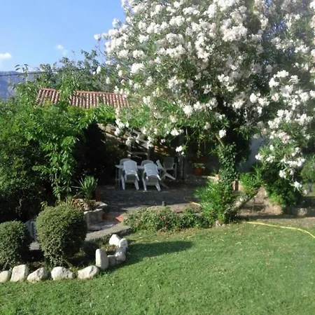 Holiday B&d - One Bedroom Holiday With Terrace Apartment Gruda